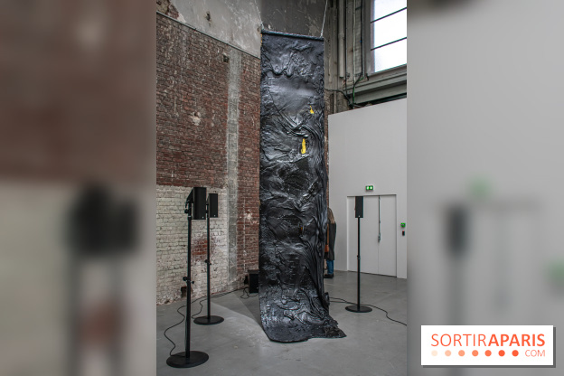 Les Frontières sont des animaux nocturnes : l'expo pour la saison lituanienne au Palais de Tokyo - DSC 1643