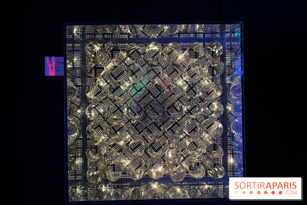 Fondation Cherqui - nos photos - image00017