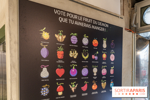 One Piece pop-up shop Paris - les photos