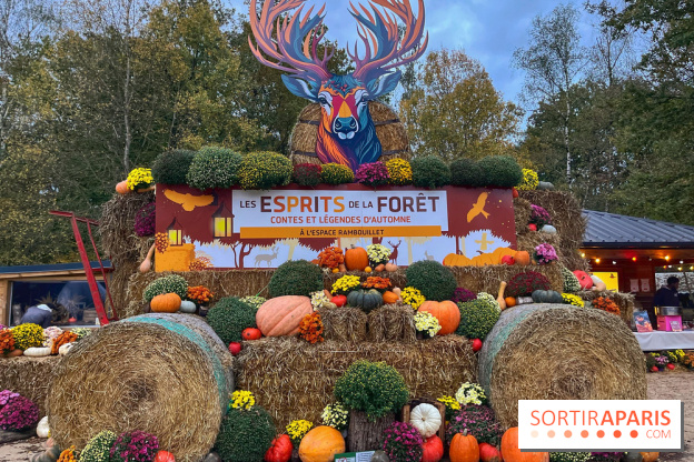 Les Esprits de la Forêt - IMG 5584