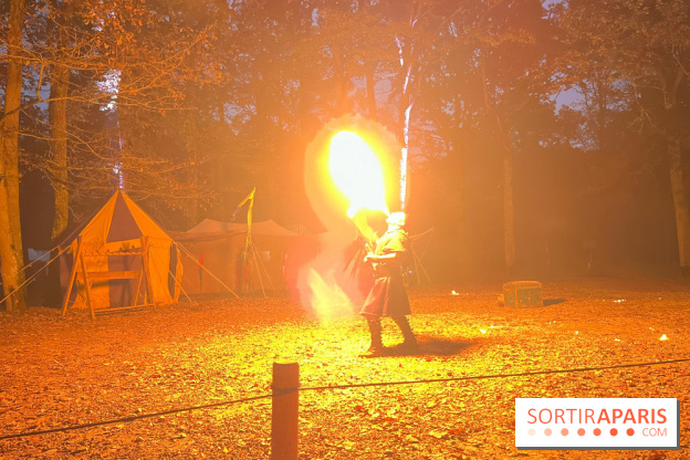 Les Esprits de la Forêt - IMG 5612