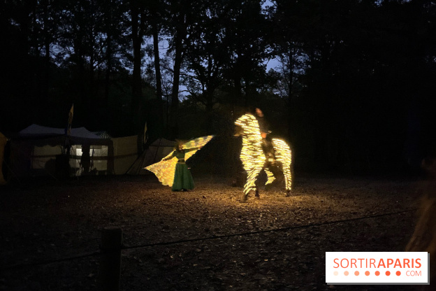 Les Esprits de la Forêt - IMG 5641