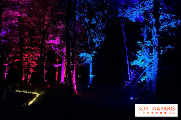 Les Esprits de la Forêt - IMG 5663