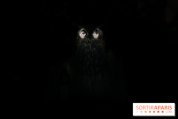 Les Esprits de la Forêt - IMG 5668