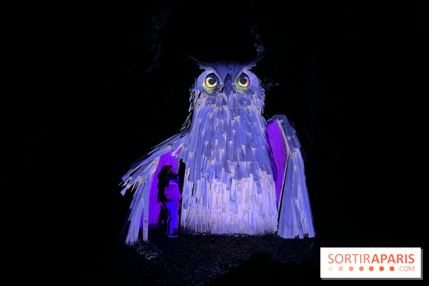 Les Esprits de la Forêt - IMG 5671