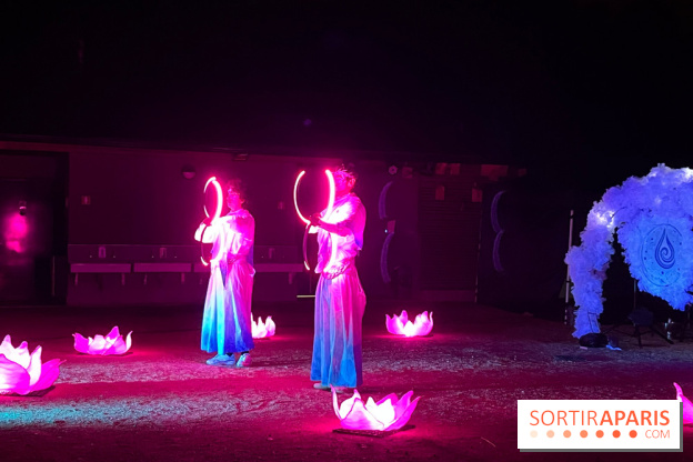 Les Esprits de la Forêt - IMG 5730