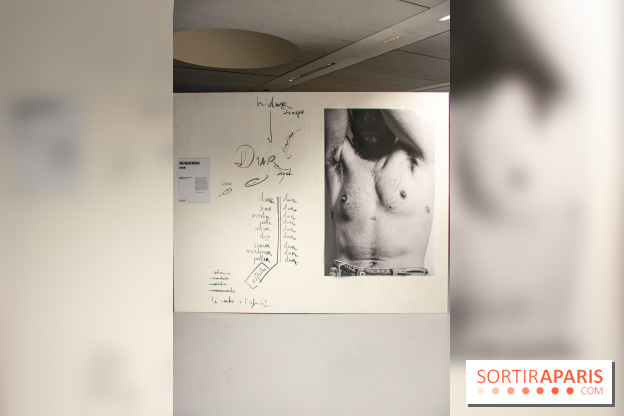 Trans*galactique : l'exposition célébrant les identités trans à la Gaité Lyrique - DSC 1805