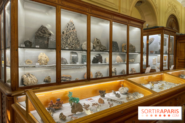 Musée de Minéralogie - IMG 5812