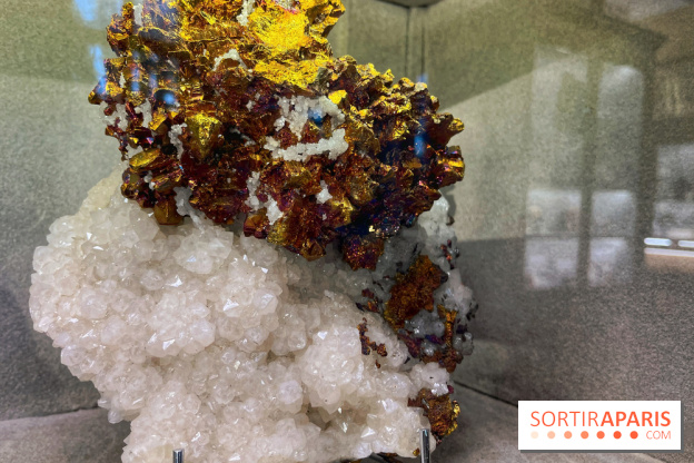 Musée de Minéralogie - IMG 5814