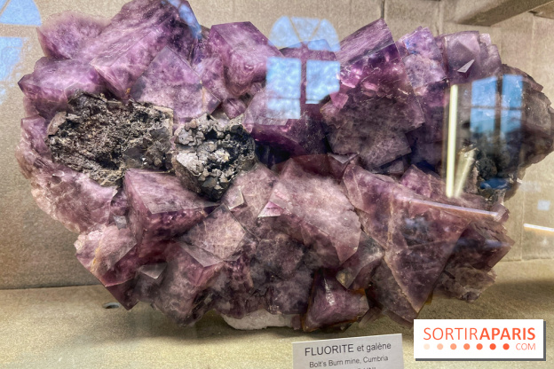 Musée de Minéralogie - IMG 5818