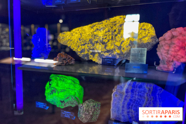 Musée de Minéralogie - IMG 5883