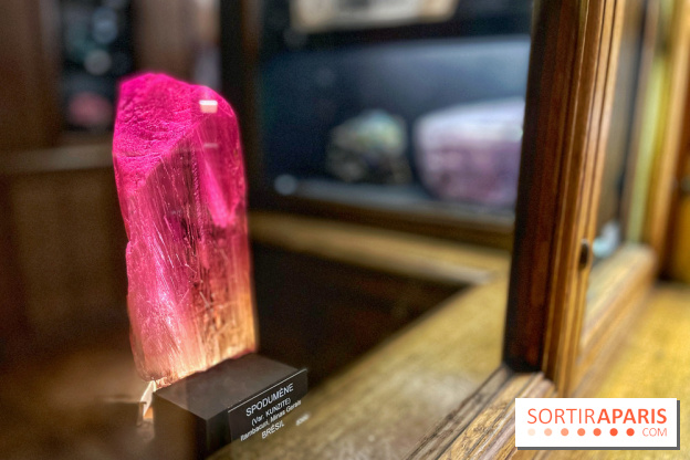 Musée de Minéralogie - IMG 5885