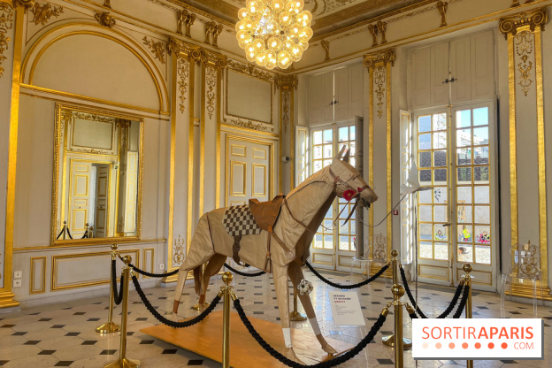 La faune en plis - nos photos - image00030