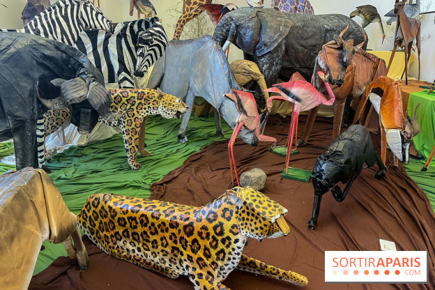 La faune en plis - nos photos - image00026