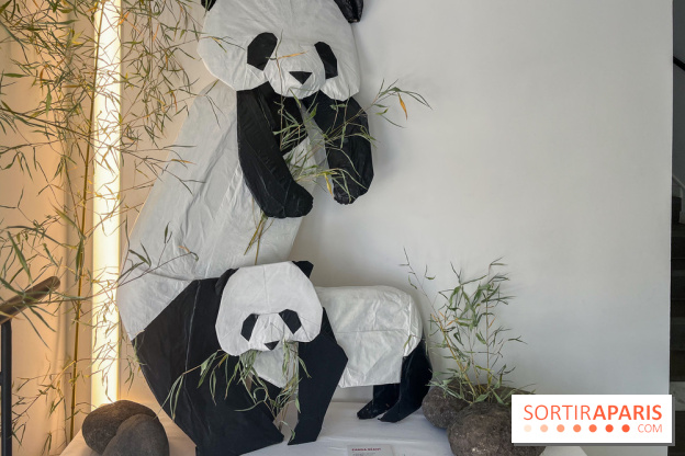 La faune en plis - nos photos - image00021