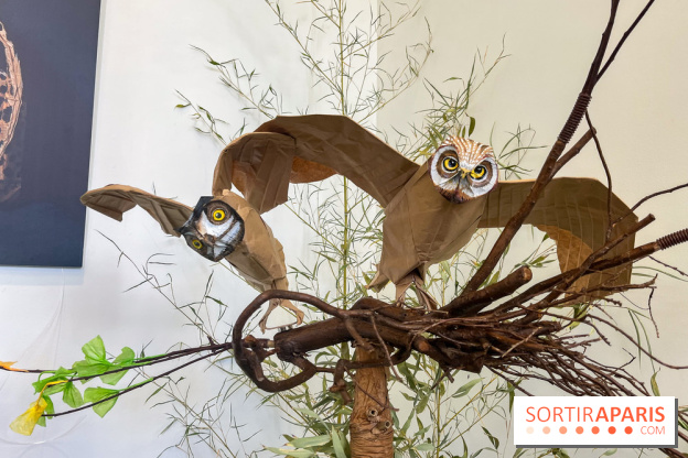 La faune en plis - nos photos - image00022