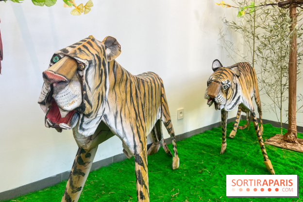 La faune en plis - nos photos - image00023