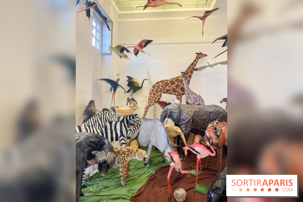 La faune en plis - nos photos - image00024