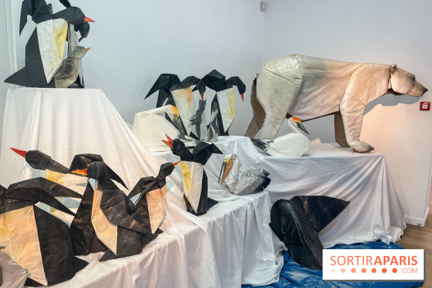 La faune en plis - nos photos - image00019