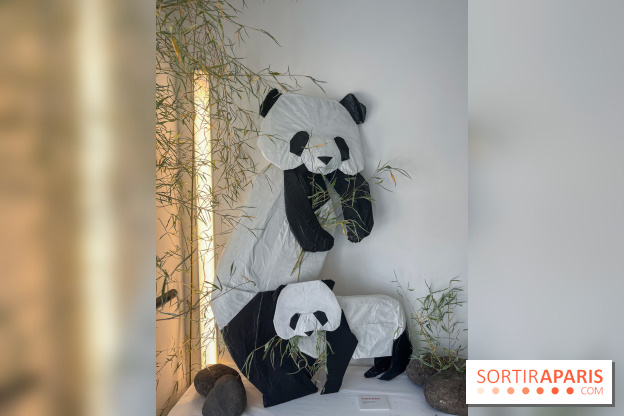 La faune en plis - nos photos - image00020