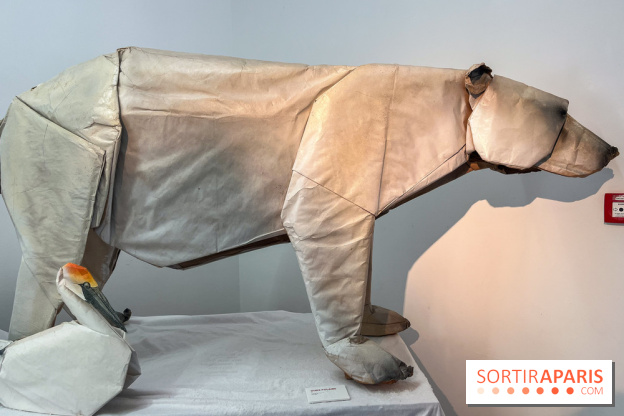 La faune en plis - nos photos - image00017