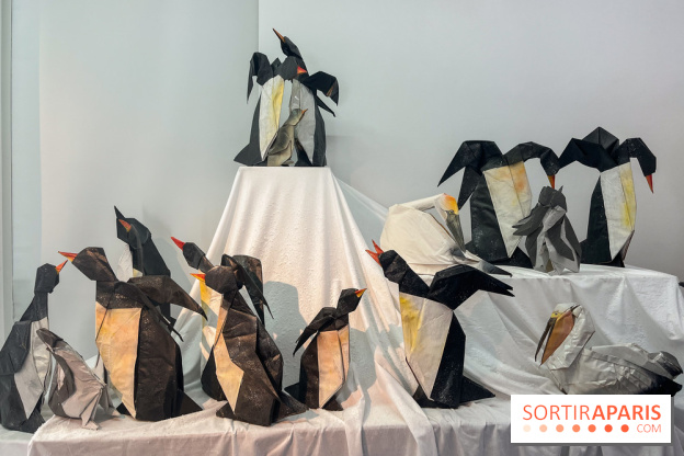 La faune en plis - nos photos - image00018