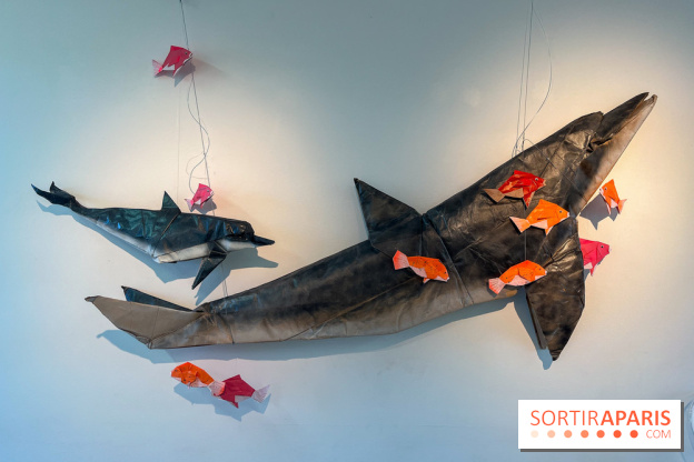 La faune en plis - nos photos - image00015