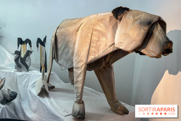 La faune en plis - nos photos - image00016