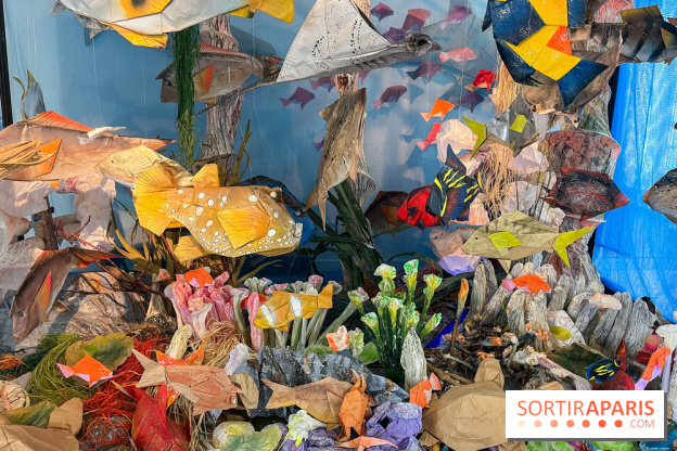 La faune en plis - nos photos - image00013