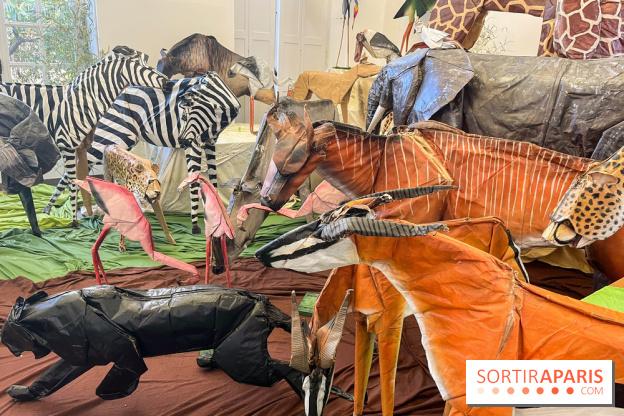 La faune en plis - nos photos - image00002