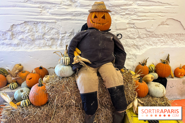 La Fête de la Citrouille - nos photos - image00029