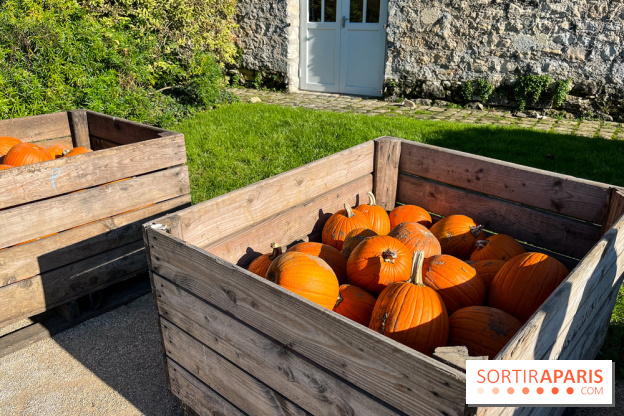 La Fête de la Citrouille - nos photos - image00031