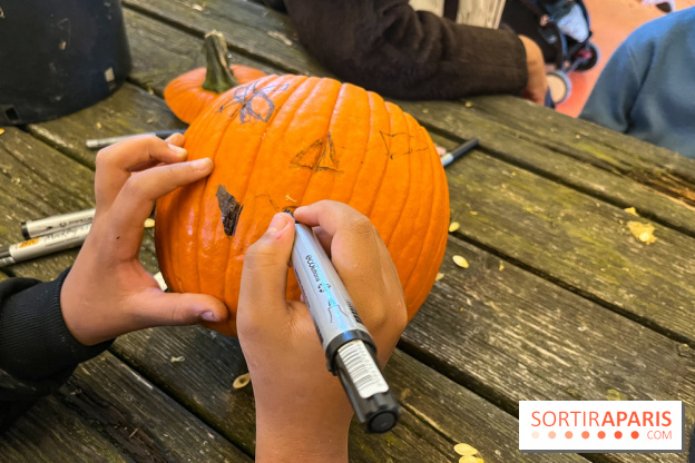 La Fête de la Citrouille - nos photos - image00028