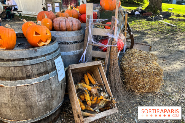 La Fête de la Citrouille - nos photos - image00021