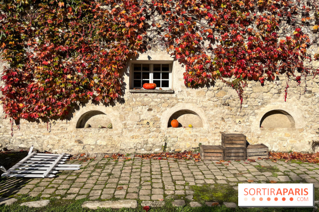 La Fête de la Citrouille - nos photos - image00022