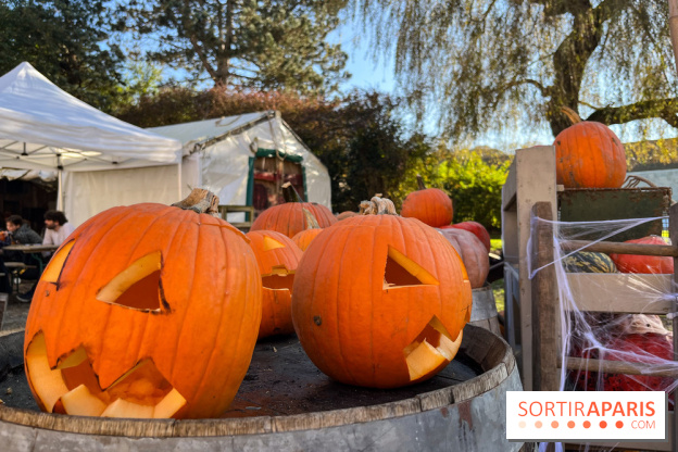 La Fête de la Citrouille - nos photos - image00017