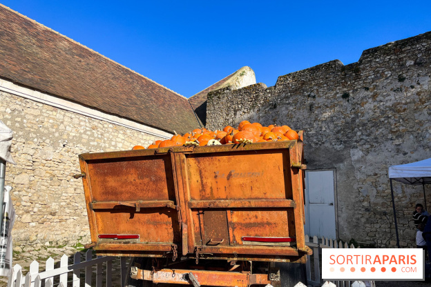 La Fête de la Citrouille - nos photos - image00019