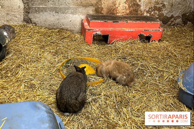 La Fête de la Citrouille - nos photos - image00015