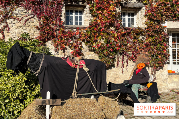 La Fête de la Citrouille - nos photos - image00016