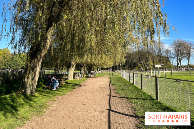 La Fête de la Citrouille - nos photos - image00014