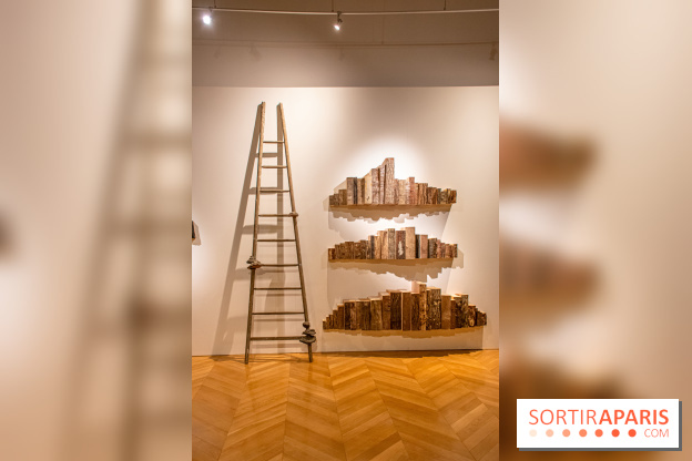 Exposition Les Cimes de l’Asphalte de Duy Anh Nhan Duc à l’Espace Richaud - DSC 2048