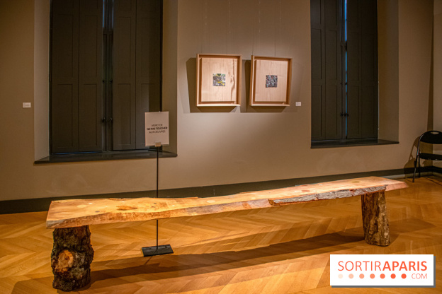 Exposition Les Cimes de l’Asphalte de Duy Anh Nhan Duc à l’Espace Richaud - DSC 2049