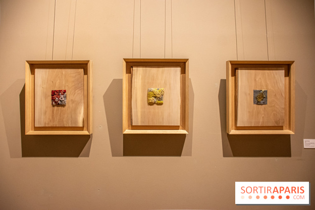 Exposition Les Cimes de l’Asphalte de Duy Anh Nhan Duc à l’Espace Richaud - DSC 2053