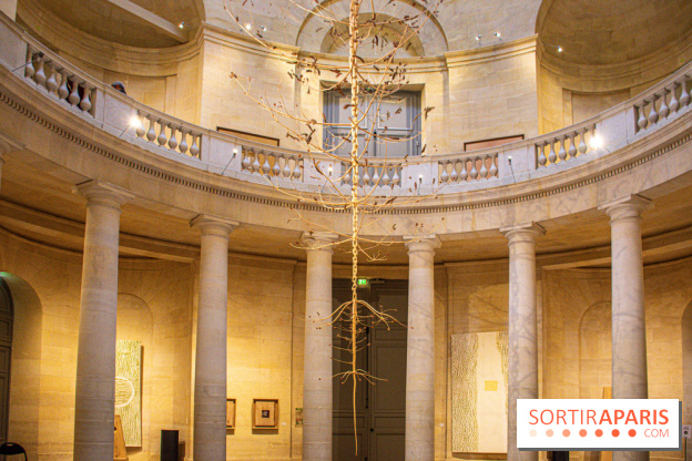 Exposition Les Cimes de l’Asphalte de Duy Anh Nhan Duc à l’Espace Richaud - DSC 2059