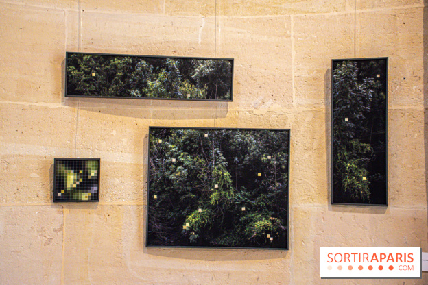 Exposition Les Cimes de l’Asphalte de Duy Anh Nhan Duc à l’Espace Richaud - DSC 2075