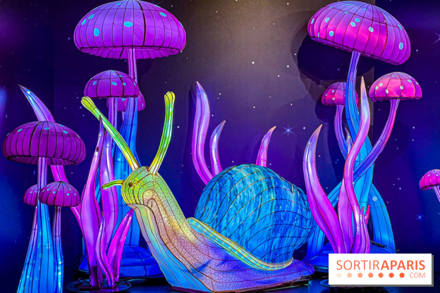 Les vitrines de Noël 2024 de la Samaritaine : Thoiry Lumières Sauvages envahit le grand magasin - Les vitrines de Noël 2024 de la Samaritaine : Thoiry Lumières Sauvages envahit le grand magasin   image00023   1125738