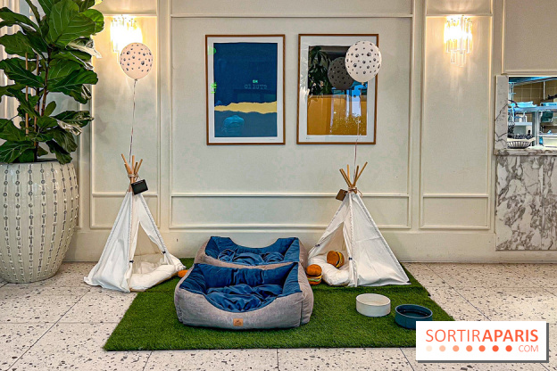 Le Doggy Brunch : le brunch gourmand entre chiens et maîtres à l'hôtel Kimpton Saint Honoré Paris - image00029