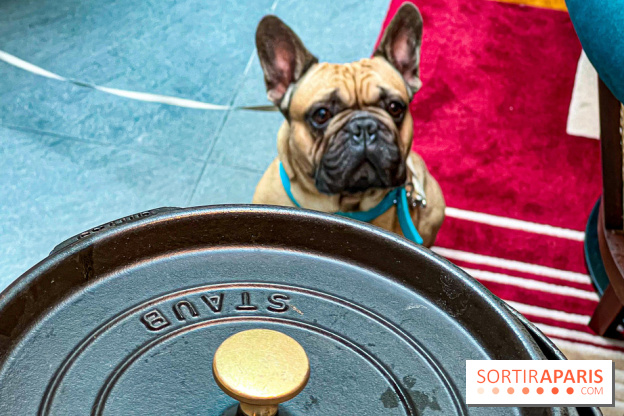 Le Doggy Brunch : le brunch gourmand entre chiens et maîtres à l'hôtel Kimpton Saint Honoré Paris - image00052