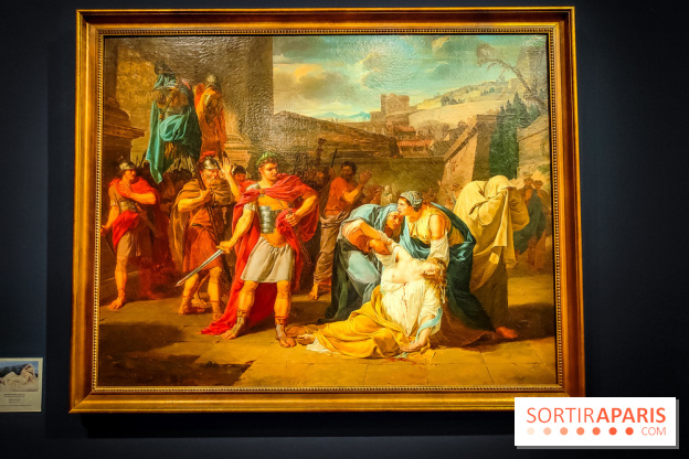 Guillon Lethière, né à la Guadeloupe : l'exposition rétrospective du musée du Louvre se dévoile - IMG20241112152217