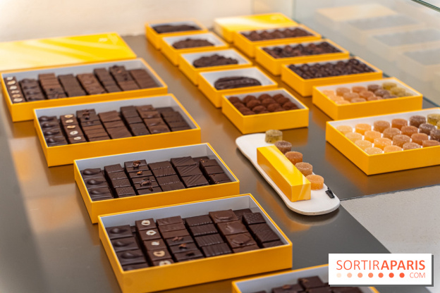 La chocolaterie William Artigue et ses chocolats de Noël 2024